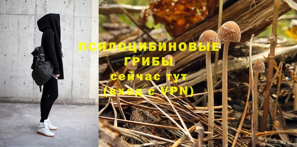 мяу мяу мука Беломорск