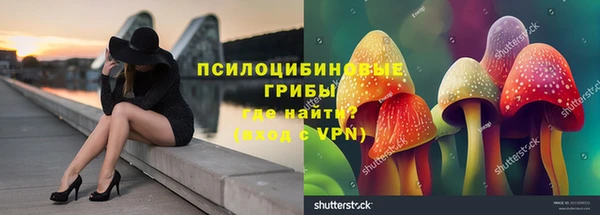 jwh Белокуриха