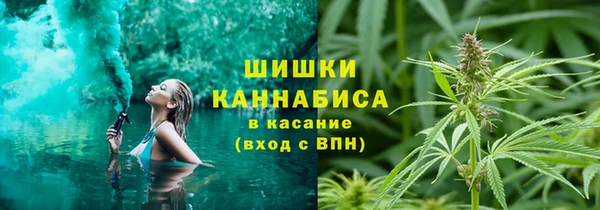 мяу мяу мука Беломорск