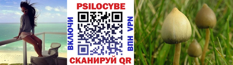 Псилоцибиновые грибы Cubensis  mega зеркало  Костерёво 